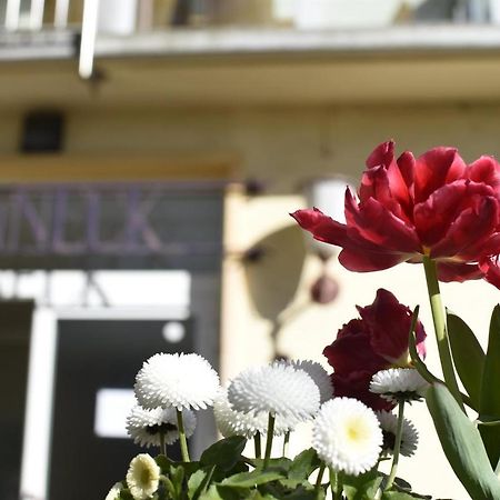 Haus Sonneck Ξενοδοχείο Marburg Εξωτερικό φωτογραφία